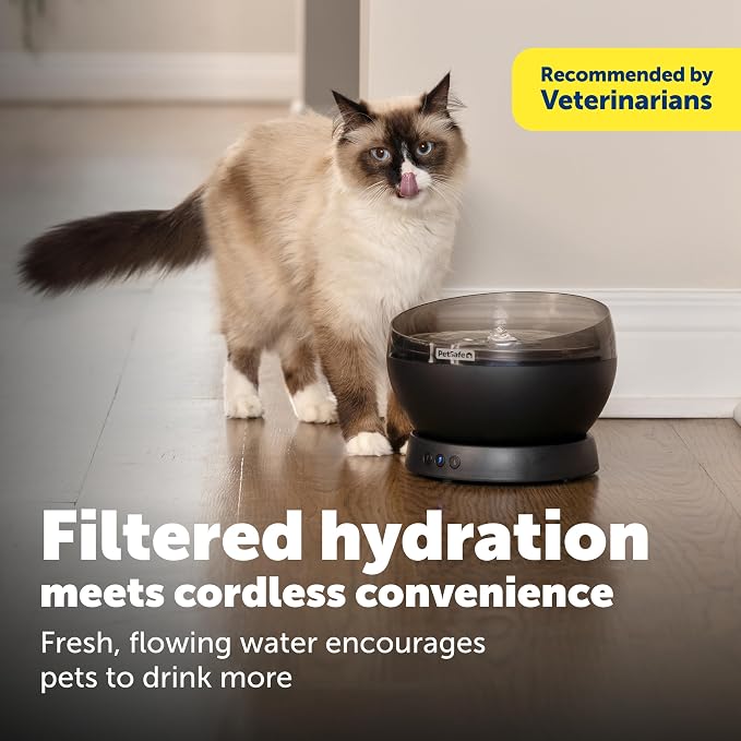 PetSafe HydroSphere Cordless Pet Fountain Battery Powered Water Fountain for Cats and Small Dogs Stainless Steel Tray Quiet Operation, Easy to Clean UVC Sanitation Black - Image 2