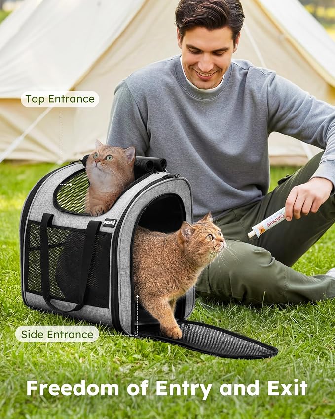 Pecute Cat Backpack with Widened Interior Space, Upgraded Dog Backpack Carrier with Various Ways to Carry, Pet Backpack with Breathable Mesh, Pet Travel Carrier with Soft Padded, Reinforced Support | Breathable Mesh, Reinforced Support, Various Carry W... - Image 6
