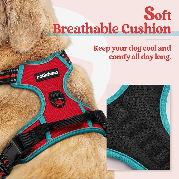 rabbitgoo Dog Harness, No Pull for Large Dogs with 2 Leash Clips, Pet Vest | No Choke with Handle, Adjustable Soft Padded, Reflective, Easy Control for Walking, Red & Teal, X-Large - Image 2