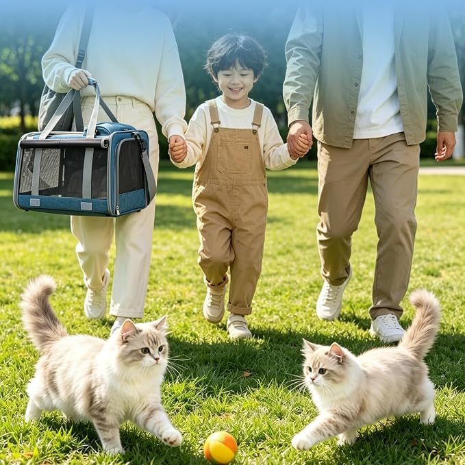 Pet Carrier for Medium-Small Cats, Collapsible Cat Carrier and Soft-Sided Pet Carrier for Medium Big Cats and Puppy Up to 17lbs, 2-Way Entry with Privacy Cover, Travel Bag L18.9”X11.42”X11.42” - Image 8