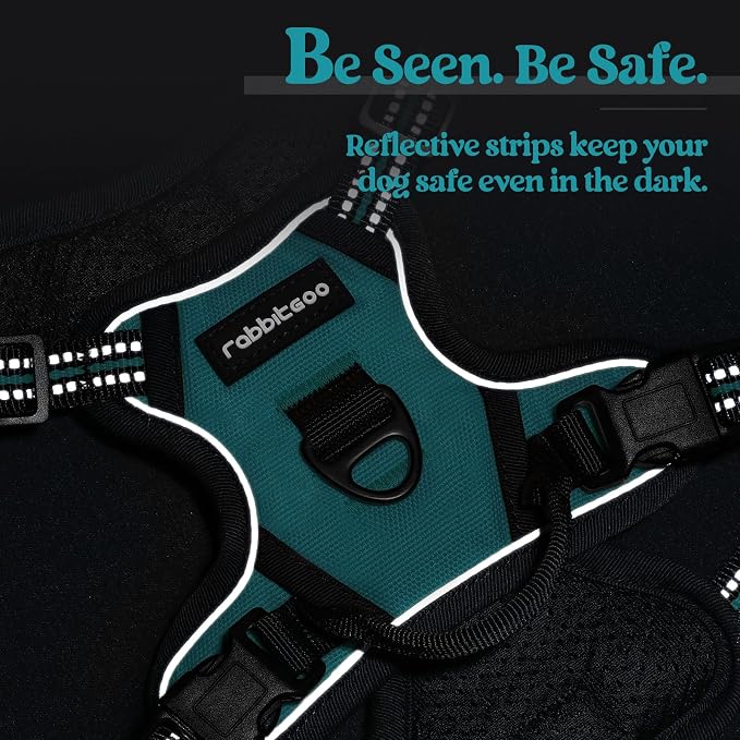 rabbitgoo Dog Harness No Pull with 2 Leash Clips, Adjustable Soft Padded, Reflective Oxford No Choke Pet Vest with Easy Control Handle for Puppy, Teal, XS | No Choke with Handle, Adjustable Soft Padded, Reflective, Easy Control for Walking, Teal, X-Small - Image 7