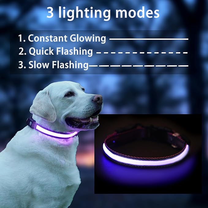 USB Rechargeable LED Dog Collar, Waterproof, Adjustable, Glowing, for Extra Small Dogs, Night Walking, Camping, Jogging, Purple, XS (Neck 9-13", Width 5/8") - Image 2