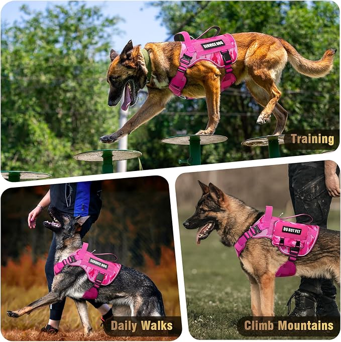 2X Metal Buckle Service Working MOLLE Dog Vest with 10 Pet Patches | Tactical Dog Harness for Large Dog, No-pull Military Working Vest for Training Hunting Walking，2x D Rings for Leash Clip - Image 9