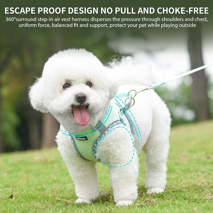 Teacup Puppy Harness with Leash, Escape-Proof Design, Sage S | No Pull Step-in Dog Vest Harness, Breathable Mesh, Reflective Design with Magic Tape, Outdoor Use for Poodles, Pomeranians - Image 2