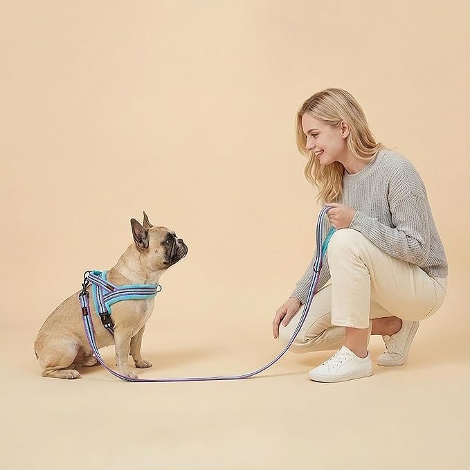 Didog 6FT Reflective Dog Leash for Small Medium Dogs,5/8" Width, Mixed-Blue | Soft Padded Handle, Plush Comfort Grip, Tangle-Free, 360° Swivel Clasp for Daily Walking and Training, Night Safety - Image 3