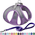 AIITLE Small Dog Harness and Leash Set, Step-in Puppy Pet Vest, Purple XS | Light, Soft, Breathable Air Mesh, Escape-Proof, Easy on and Remove with Hook & Loop, Secure Reflective for Walking by AIITLE-FORPETSBETTERLIFE