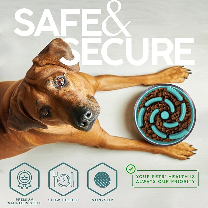 FAHRMOSIS 64 OZ Dog Bowl with Slow Feeder Insert Stainless Steel Pet Water Bowl for Medium & Large Breed Non Slip Rubber Base & Plastic Puzzle Feeder - Teal - Image 4