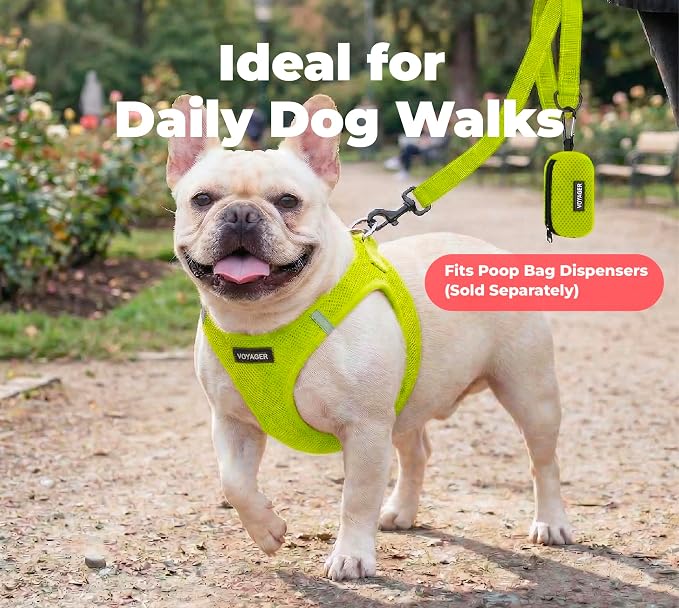 Best Pet Supplies Voyager Nylon Dog Leash - Lime Green, Medium | 5ft in Length, 3/4" in Width, Reflective, Soft Neoprene Handle, Heavy Duty Metal Clips for Running, Walking & Training - Image 3