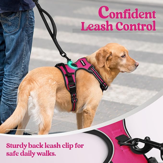 rabbitgoo Dog Harness, No Pull for Large Dogs with 2 Leash Clips, Pet Vest | No Choke with Handle, Adjustable Soft Padded, Reflective, Easy Control for Walking, Hot Pink, Large - Image 6