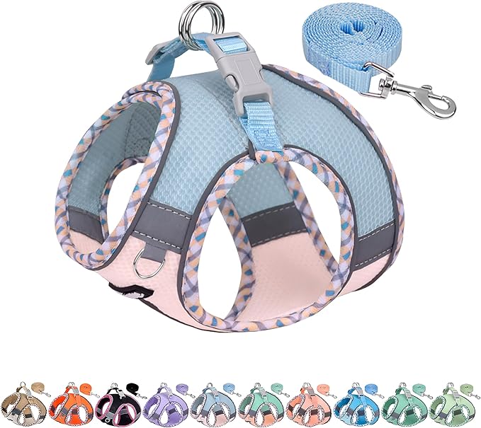 Breathable Dog Harness Small Sized and Leash Set, Blue-Pink XXXS | No Pull Step-in Vest, Lightweight Mesh, Reflective Design with High-Stick Magic Tape, Outdoor Use for Chihuahua, Maltese by AIITLE-FORPETSBETTERLIFE