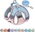 Breathable Dog Harness Small Sized and Leash Set, Blue-Pink XXXS | No Pull Step-in Vest, Lightweight Mesh, Reflective Design with High-Stick Magic Tape, Outdoor Use for Chihuahua, Maltese by AIITLE-FORPETSBETTERLIFE