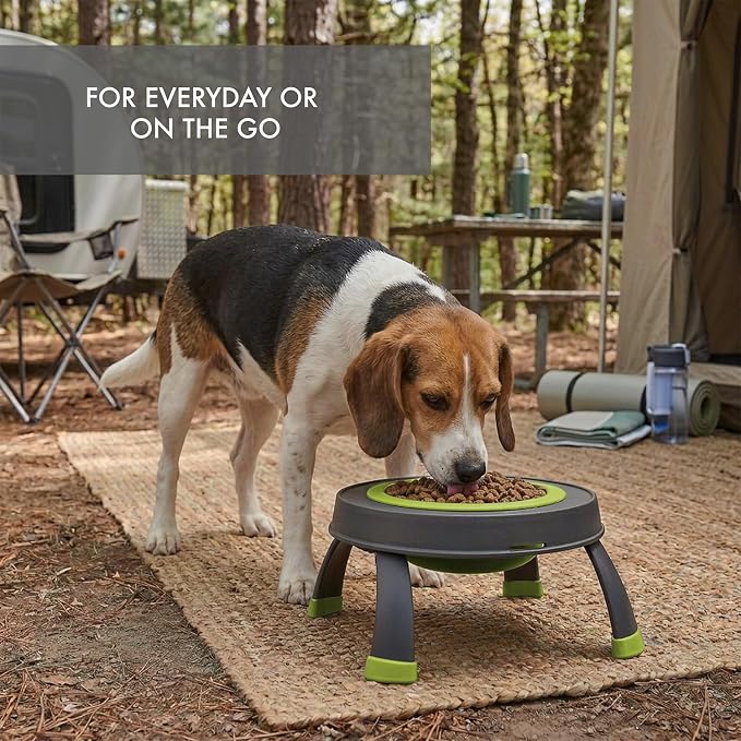 Dexas Pets Elevated Pet Feeder, Large, 4 Cup Capacity, Green, Raised Pet Food and Water Bowl - Image 3
