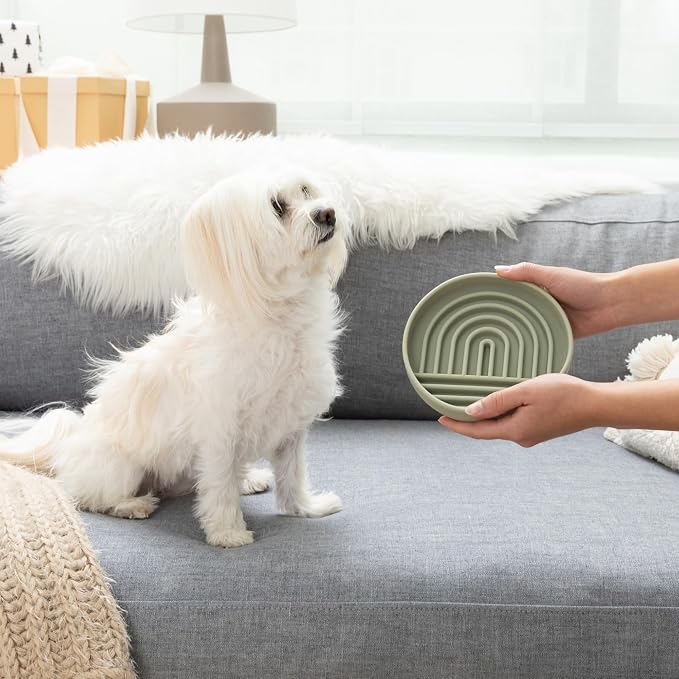 Should We Go? Slow Feeder Dog Bowls - Small Size Silicone Slow Eating Dog Bowl for Puppies & Dogs with Suction Cup -Dishwasher-Safe, Lick Mat Design, Reduces Gulping, for All Breeds, 6”x1.25”- Sage - Image 2