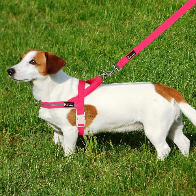 Plutus Pet Cotton Dog Harness and Leash Set, Reflective and Soft Padded, Quick Fit Vest Harness, for Small, Medium and Large Dogs, Hot Pink, L - Image 6