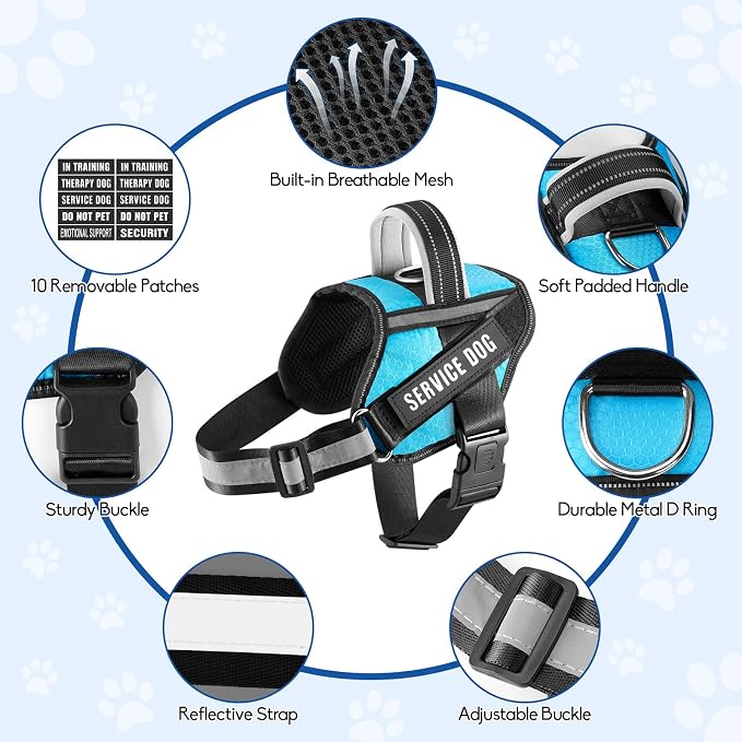 Service Dog Vest Harness and Leash Set, Animire in Training Dog Harness with 10 Dog Patches, Reflective Dog Leash with Soft Padded Handle for Dogs (Light Blue,Xs) - Image 7