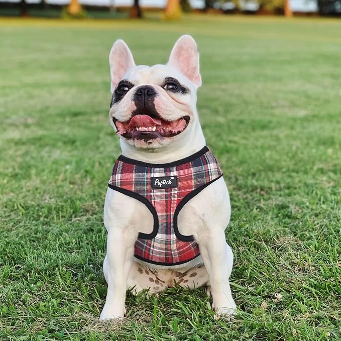 PUPTECK Small Dog Harness and Leash Set No Pull for XS XXS Sized Dogs Puppy | Escape Proof No Choke Pet Cat Adjustable Soft Padded Walking Vest - Image 7
