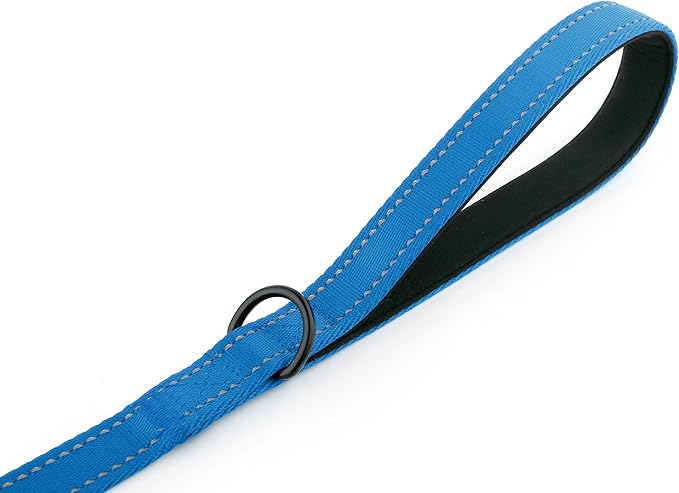 Dog Leash 8ft Long - Blue - Traffic Padded Two Handle - Heavy Duty - Double Handles Lead for Control Safety Training - Leashes for Large Dogs or Medium Dogs - Dual Handles Leads - Image 6