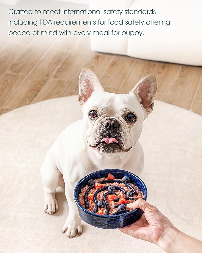 vancasso Slow Feeder Dog Bowl, 0.6 Cup Ceramic Slow Feeding Food Dish for Small Breed, Puzzle Dog Food Bowl for Fast Eater, Blue - Image 6