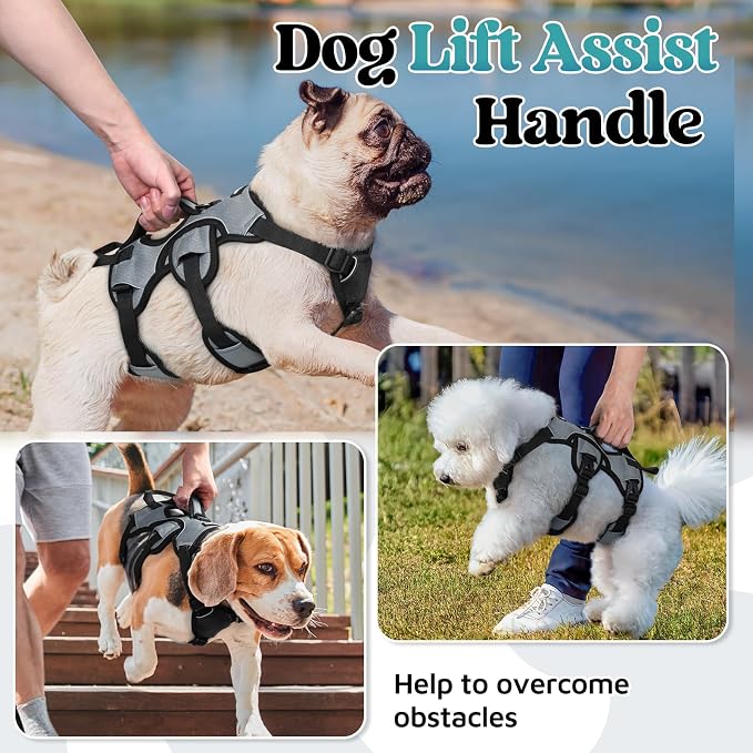 rabbitgoo Escape Proof Dog Harness for Small, No Pull with Lift Handle | No Escape, Full Soft Padded, Reflective Adjustable Vest, Leash Clip for Walking Hiking Training, Grey, Small - Image 3