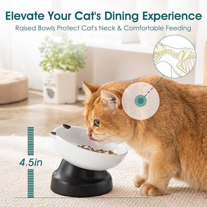 vancasso Slow Feeder Cat Bowls, Ceramic Elevated Slow Feeder Cat Bowls, Raised Food Bowl for Wet Food (Black) - Image 3
