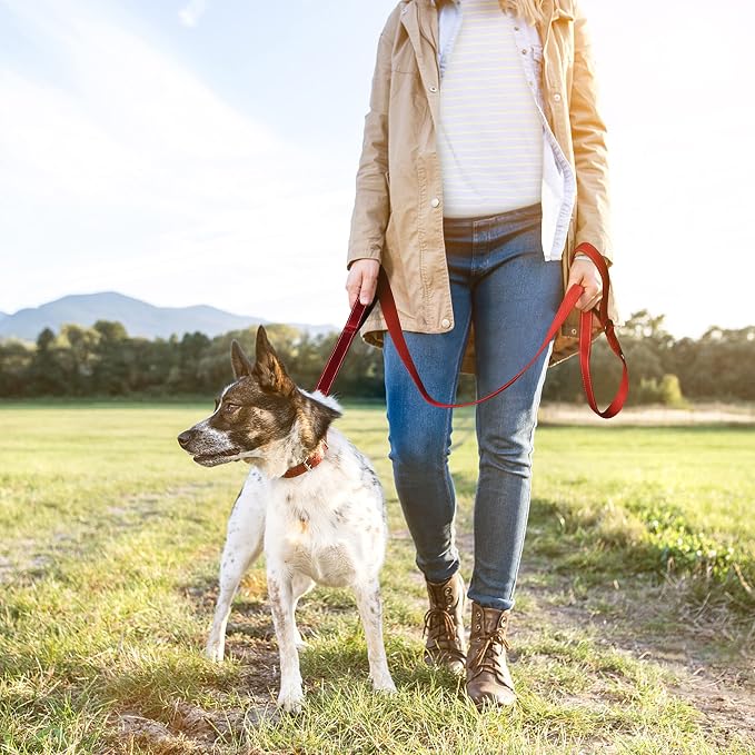 Twoear 5FT 1IN Heavy Duty Dog Leash for Large Dogs with 2 Padded Handles | Traffic Handle Extra Control, Auto Lock Hook, Strong Reflective Walking Leash for Night Safety, Medium and Large Breeds,Red - Image 9