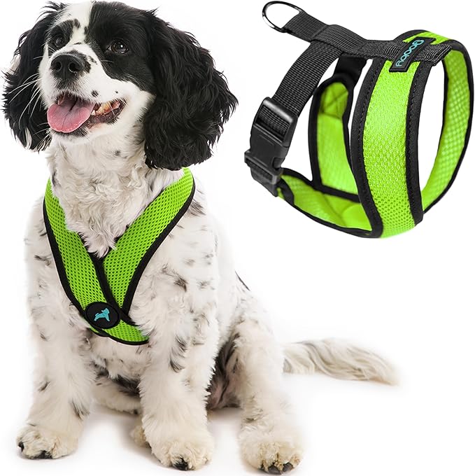 Gooby Comfort X Head-in Dog Harness, Choke-Free, Green, Small | Patented choke-free X-frame; Secure head-in fit; Lightweight breathable mesh; Back metal D-ring; Machine washable by Gooby