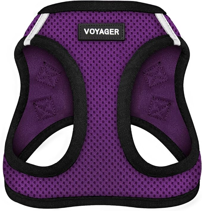 Voyager Step-in Air Dog Vest Harness - Purple/Black Trim, Small | 14.5-16" in Chest, Reflective Bands, All Weather Breathable Air Mesh, Cats Compatible, Lightweight, Fast Drying by BestPetSuppliesLLC