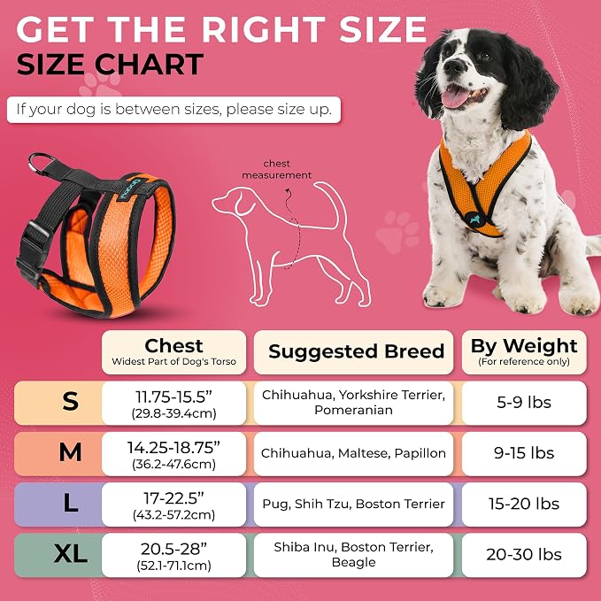 Gooby Comfort X Head-in Dog Harness, Choke-Free, Orange, Large | Patented choke-free X-frame; Secure head-in fit; Lightweight breathable mesh; Back metal D-ring; Machine washable - Image 3