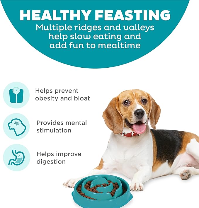 Outward Hound Fun Feeder Slo Bowl – Medium 2‑Cup Capacity, Slow Feeding, Small to Medium Dogs & Cats, Non-Slip, Turquoise, Drop Pattern | Slows Fast Eaters, Can Aid Digestion, Holds 2 Cups Dry or Wet Food, Non-Slip, Easy Clean, No BPA, Small to Medium ... - Image 2