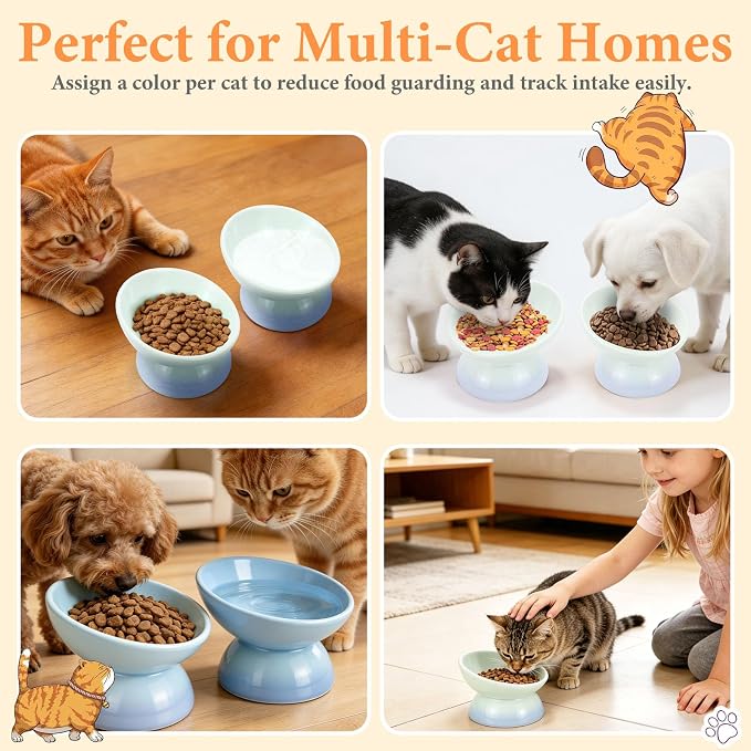 Elevated Cat Food Bowl 5 Oz Ceramic Raised Tilted Water Dishes, 15° Tilt Anti Vomiting, Protect Pets' Spines Bowls for Small Dog, Fat Faced Cat, Kitten - Image 7
