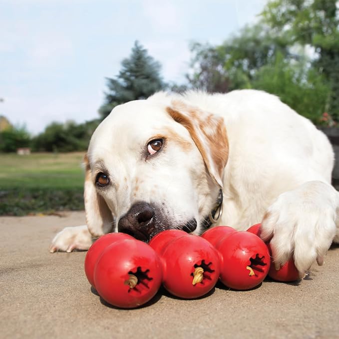 KONG Goodie Ribbon, Stuffable Natural Rubber Dog Toy, for Large Dogs | Stuffable Bone-Shaped Rubber Toy with Four Fillable Goodie Grippers for Fun, Treat-Based Enrichment Play - Image 3