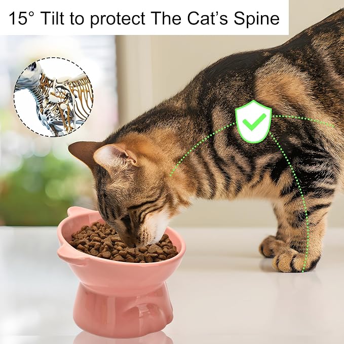 Elevated Cat Food Bowl,9 Oz Ceramic Raised and Tilted Water Bowl,Anti Vomiting and Protect Pets Spines Dishes for Fat Faced Cat, Indoor Cats,Kitten,Small Dog (Black) - Image 3