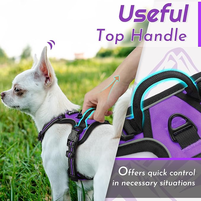 Eagloo Dog Harness for Small Dogs, No Pull Pet Vest with 2 Leash Clips | No Choke with Handle, Adjustable Comfort Fit, Reflective Strips, Easy Walking Control, Purple, X-Small - Image 5
