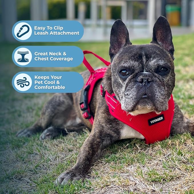 Best Pet Supplies Voyager Adjustable Step-in Flex Breathable Mesh Dog Harness for Small Medium Large Dogs Leash Set (Red), XL - Image 5