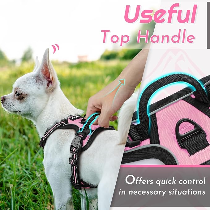 Eagloo Dog Harness for Small Dogs, No Pull Pet Vest with 2 Leash Clips | No Choke with Handle, Adjustable Comfort Fit, Reflective Strips, Easy Walking Control, Pink, X-Small - Image 5
