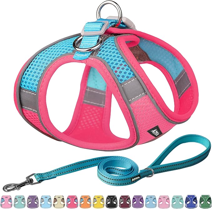 AIITLE Dog Harness and Leash Set, Step-in Puppy Pet Vest, Hot Pink M | Breathable Mesh, Adjustable Fit, Reflective Design, Padded Leash Handle, for Small-Medium Dogs & Cats, Walking, Training by AIITLE-FORPETSBETTERLIFE