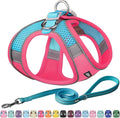 AIITLE Dog Harness and Leash Set, Step-in Puppy Pet Vest, Hot Pink M | Breathable Mesh, Adjustable Fit, Reflective Design, Padded Leash Handle, for Small-Medium Dogs & Cats, Walking, Training by AIITLE-FORPETSBETTERLIFE