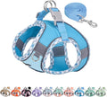 Medium Dog Harness and Leash Set with Breathable Mesh, Blue M | No Pull Step-in Vest, Reflective & Escape-Proof Design with High-Stick Magic Tape, Indoor/Outdoor Use for Teddy, Schnauzer by AIITLE-FORPETSBETTERLIFE