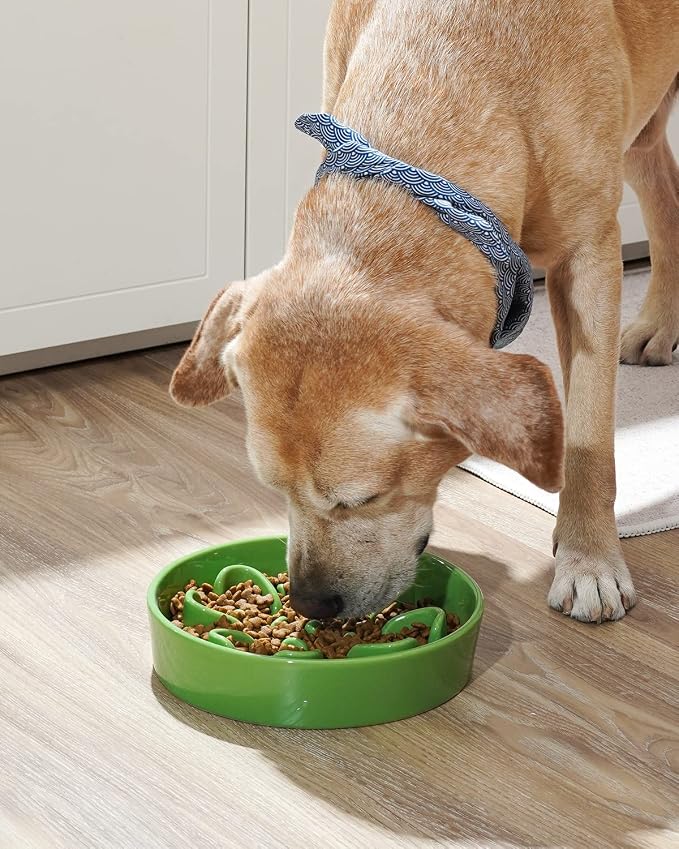 LE TAUCI Slow Feeder Dog Bowls Ceramic, 3 Cups Slow Feeding Dog Bowl Medium Large Breed, Pet Bowl for Fast Eaters, Puzzle Pet Dishes,Clover Green - Image 2