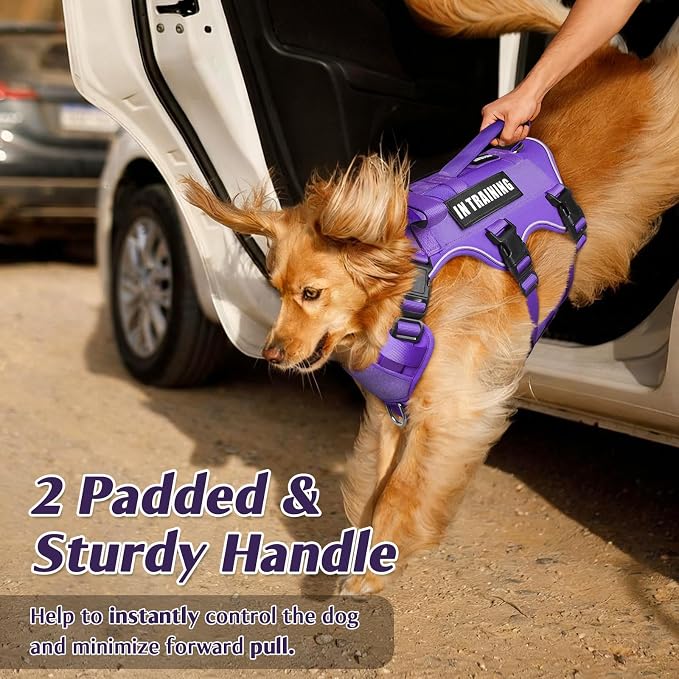WINSEE Escape Proof Dog Harness with Double Handle+4 Removable Patches | Service Working Molle Harness with Double Handle for Large Dogs, Tactical Pet Reflective Vest for Walking Hiking Hunting - Image 3