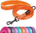 Didog 6FT Reflective Dog Leash for Small Medium Dogs,Slim 5/8" Width,Orange | Soft Padded Handle, Plush Comfort Grip, Tangle-Free, 360° Swivel Clasp for Daily Walking and Training, Night Safety by Didog