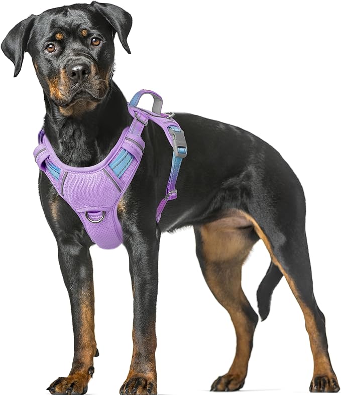 BARKBAY No Pull Dog Harness Large Reflective Dog Harness with Front Clip and Easy Control Handle for Walking Training Running with ID tag Pocket(Lavender Sky,XL) by BARKBAY