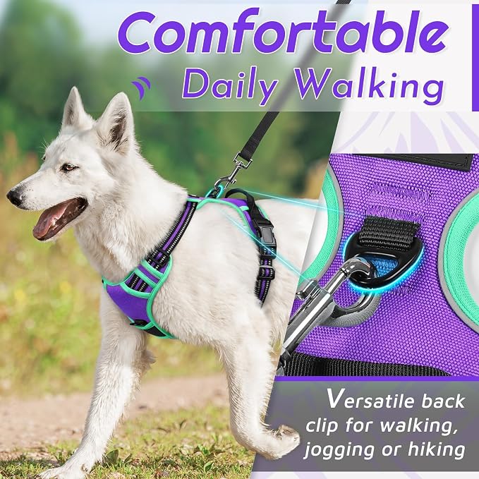 Eagloo Dog Harness for Large Dogs, No Pull Pet Vest with 2 Leash Clips | No Choke with Handle, Adjustable Comfort Fit, Reflective Strips, Easy Walking Control, Purple & Turquoise, X-Large - Image 3