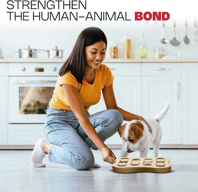 SPOT Interactive Seek-A-Treat Shuffle Bone Dog Toy Puzzle | Dog Treat Reward Toy Improves Your Dog's IQ | Specially Designed for Training Treats - Image 4