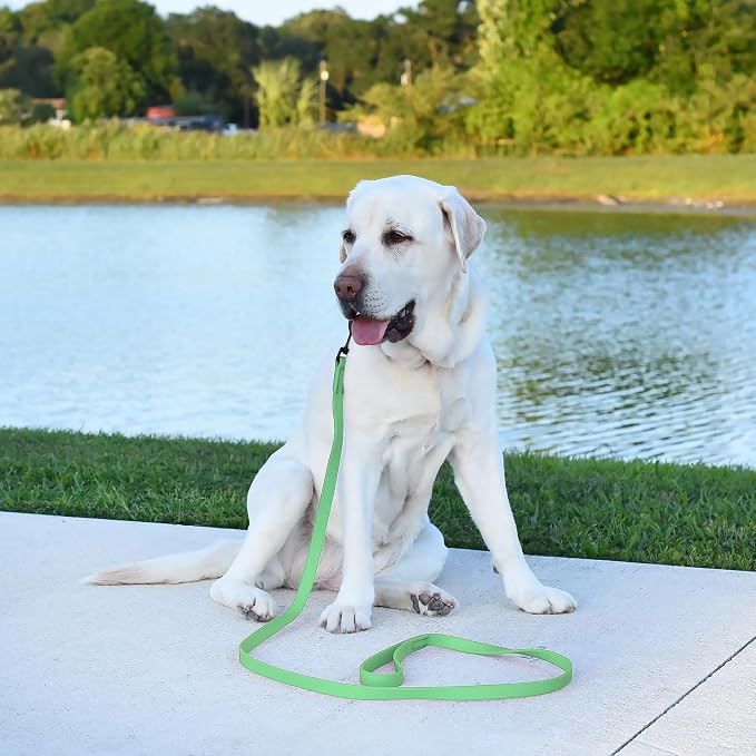 Dogline Biothane Waterproof Dog Leash Strong Coated Nylon Webbing with Black Hardware Odor-Proof Easy to Clean High Performance for Small or Large Dogs Made in USA 4 or 6 ft Lead, Sea Foam Green - Image 5