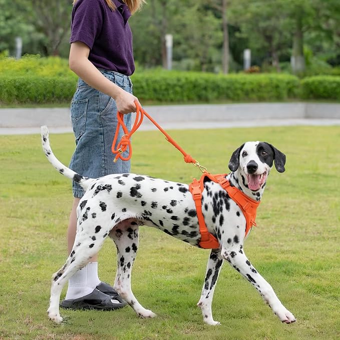 5FT Dog Leash Puppy Cat Rope Lead for Small Medium Large Dogs | Orange, with Anti-tangle Swivel Clip, Traffic Non-slip Grip Handle for Extra Control, Ideal for Daily Walks and Training - Image 7
