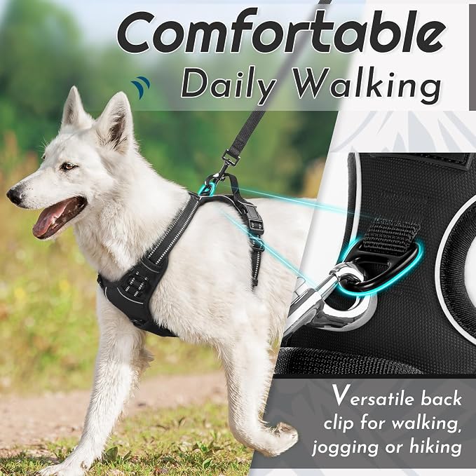 Eagloo Dog Harness for Large Dogs, No Pull Pet Vest with 2 Leash Clips | No Choke with Handle, Adjustable Comfort Fit, Reflective Strips, Easy Walking Control, Black, X-Large - Image 3