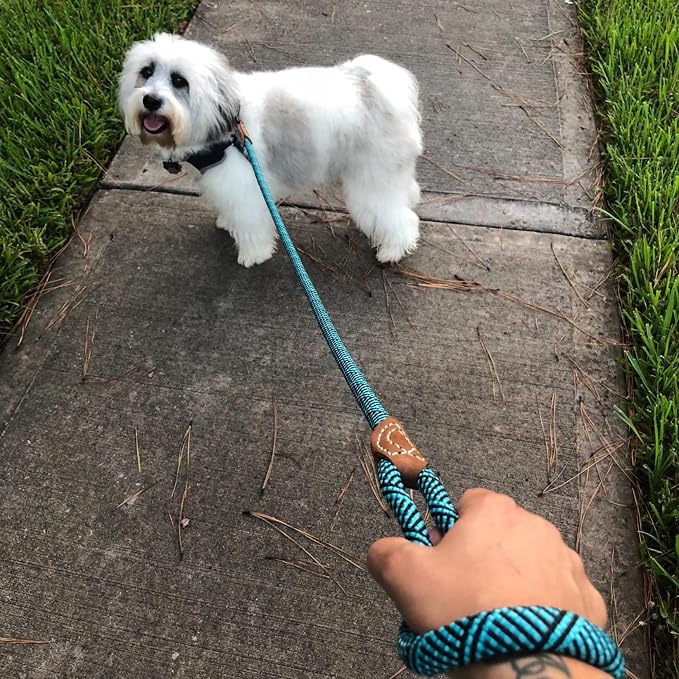 Mile High Life Dog Leash with Genuine Leather Connection, 4/5/6 FT | Rope Leash, Heavy Duty 360° Swivel Metal Clasp, for Small Medium & Large Dogs (Green, 72 Inch, 1/2") - Image 3