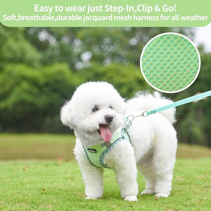 Teacup Puppy Harness with Leash, Escape-Proof Design, Sage S | No Pull Step-in Dog Vest Harness, Breathable Mesh, Reflective Design with Magic Tape, Outdoor Use for Poodles, Pomeranians - Image 4
