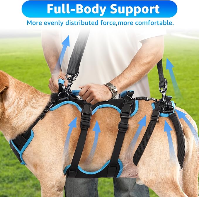 Dog Lift Harness for Medium Male Dogs Friendly, 2 in 1 Detachable Support Harness, Full Body Dog Carrying with 4 Handles for Old/Disabled/Joint Injuries Dogs (Black, Medium) - Image 5
